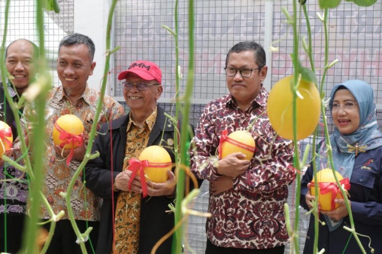 Terapkan Smart Farming Agroteknologi UMM, Potensi Wisata Petik Melon Bagi Masyarakat